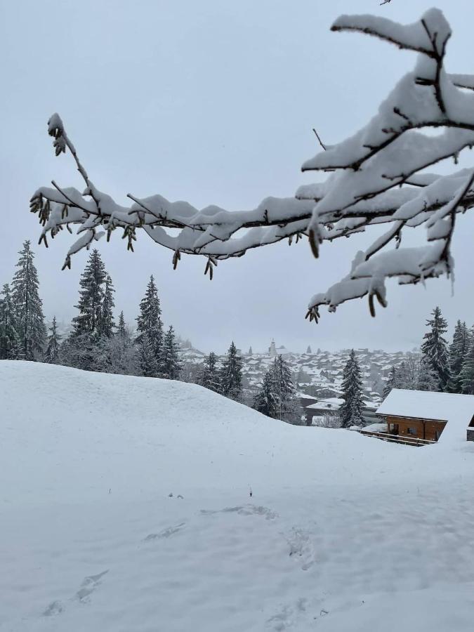 Ferienwohnung 3,5 Zimmer Direkt An Ski- Und Bikepiste Flims Buitenkant foto